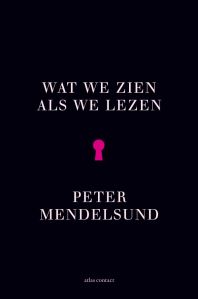 Wat we zien als we lezen