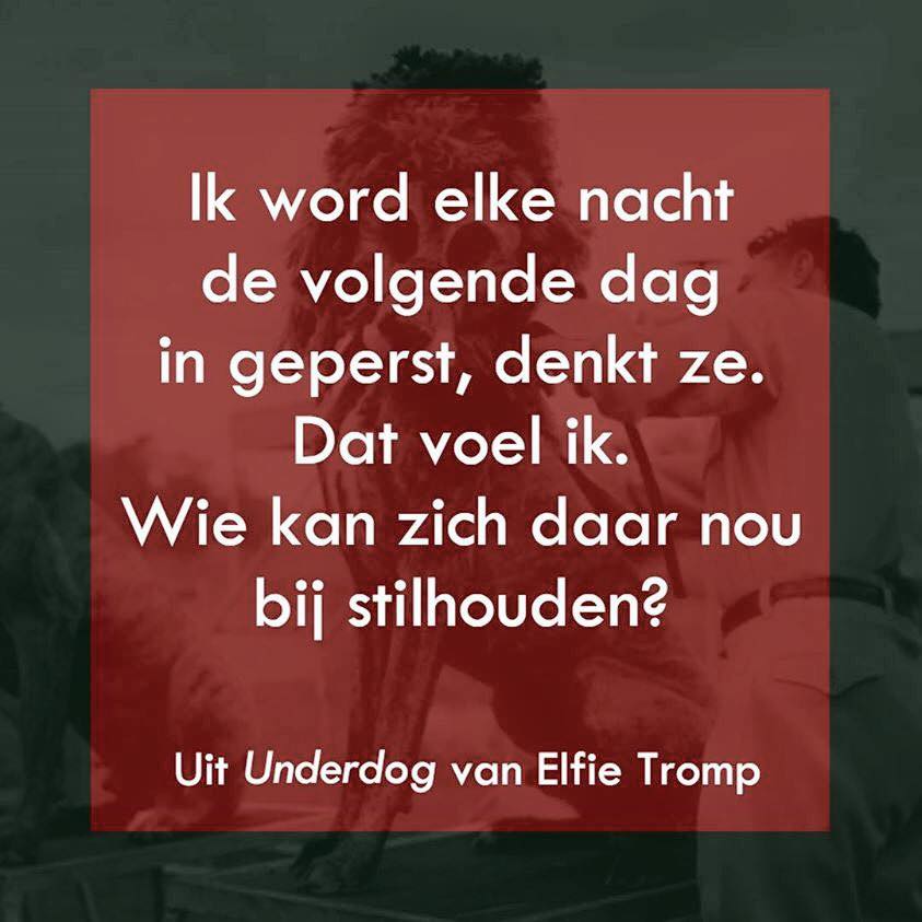 Elfie Tromp - Underdog